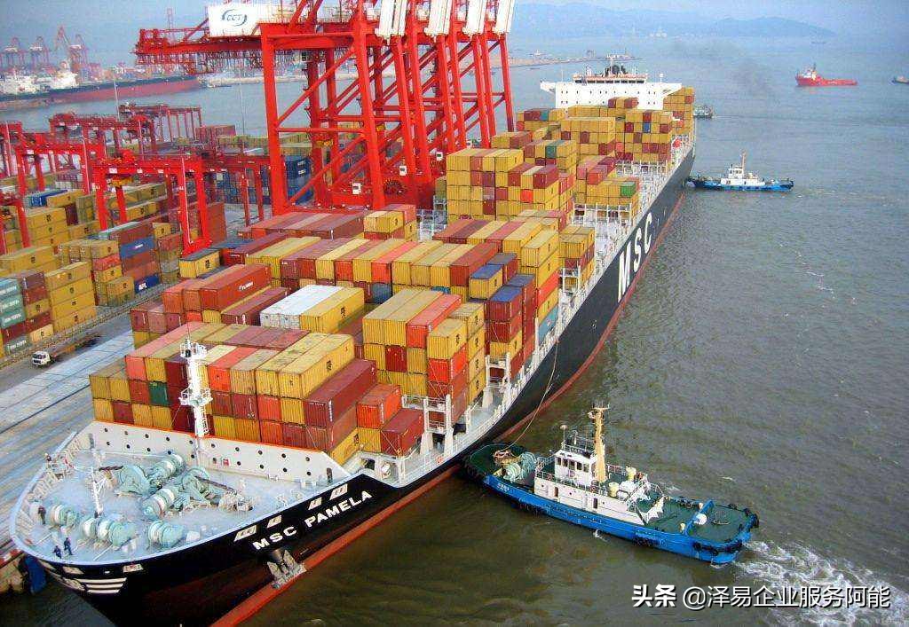 公司办理进出口权,上海杨浦办理进出口权