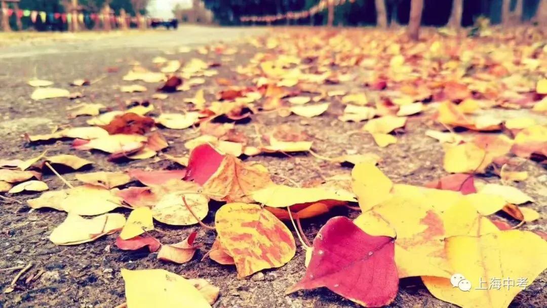 上海市徐汇区高中名单,徐汇区有几所高中