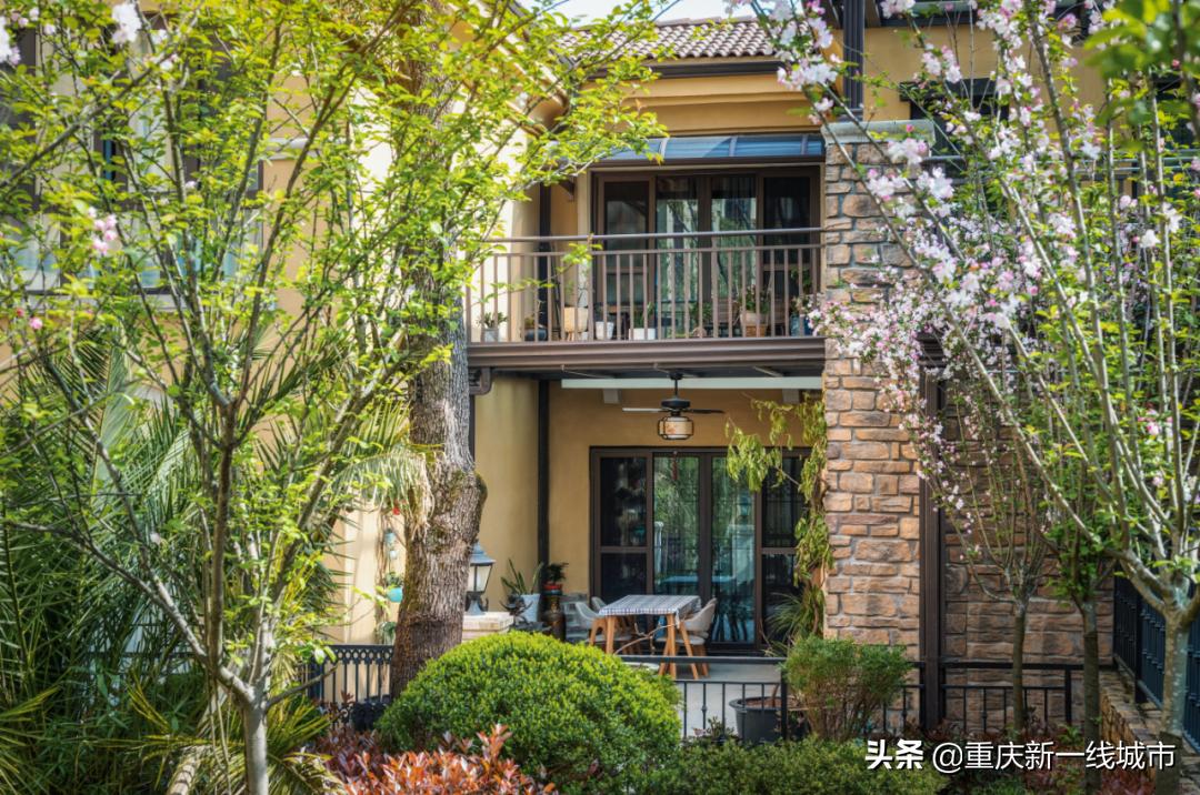 闇嶆牸娌冨吂鍩庡牎鍒,璐甸槼闇嶆牸娌冭尐鍩庡牎