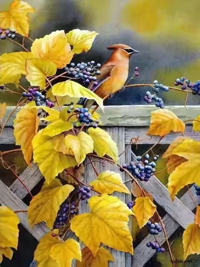 平面设计培训的内容！没有美术基础可以学习平面设计吗？