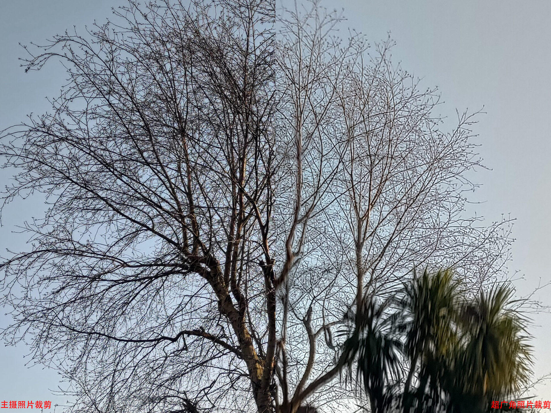 华硕手机rog5有什么缺点吗,华硕rogphone5