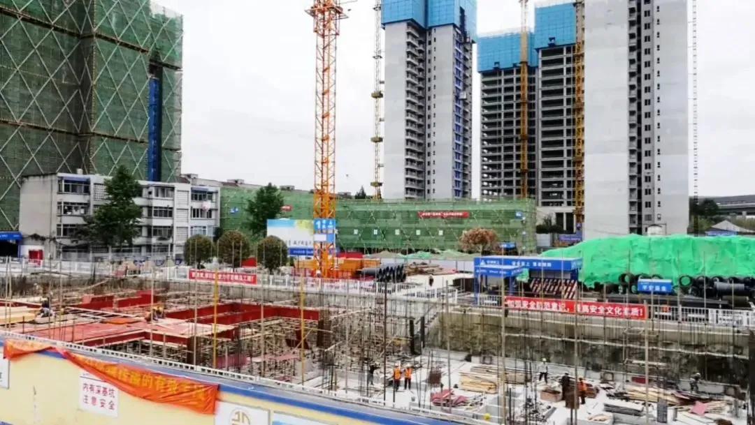 观看国礼之后的感想,国宾板块教育