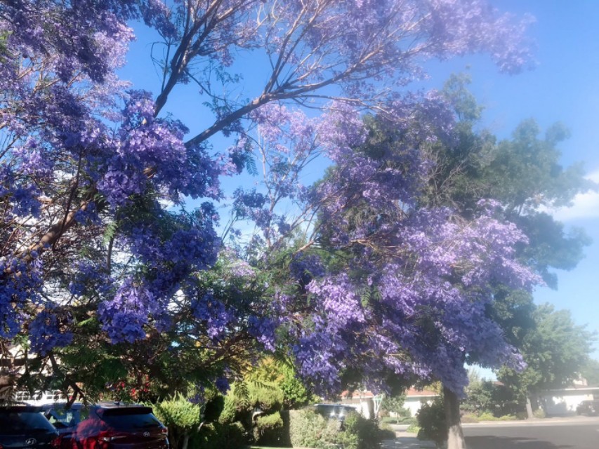 留学生在美国一天生活,大学同学在美国