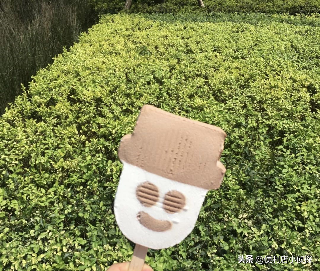 现在的雪糕价格多离谱,雪糕卖出天价