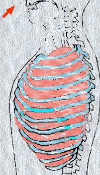 怎么和打呼的人一起睡,跟打呼的人在一起睡不着怎么办