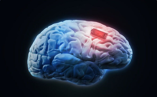 科学家培养老鼠,如何控制老鼠进行实验