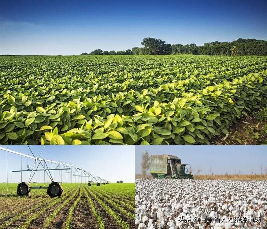 武威大禹节水招聘信息,关于兰州水务集团招聘信息