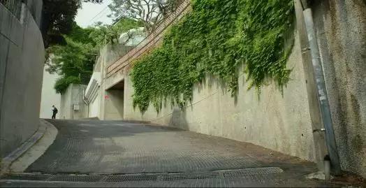 韩国电影寄生虫凭什么获得,韩国电影寄生虫什么寓意