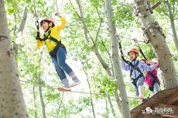 泰山百合和园简介,泰山百合和园