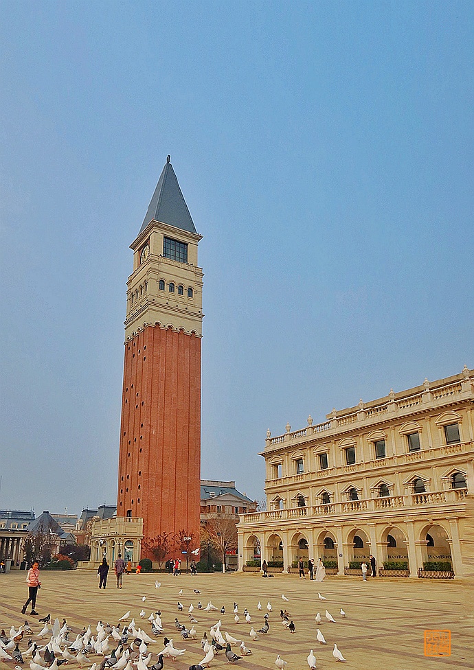 不能飞去巴黎伦敦,不如到大连喂鸽子,赏海景吃海鲜
