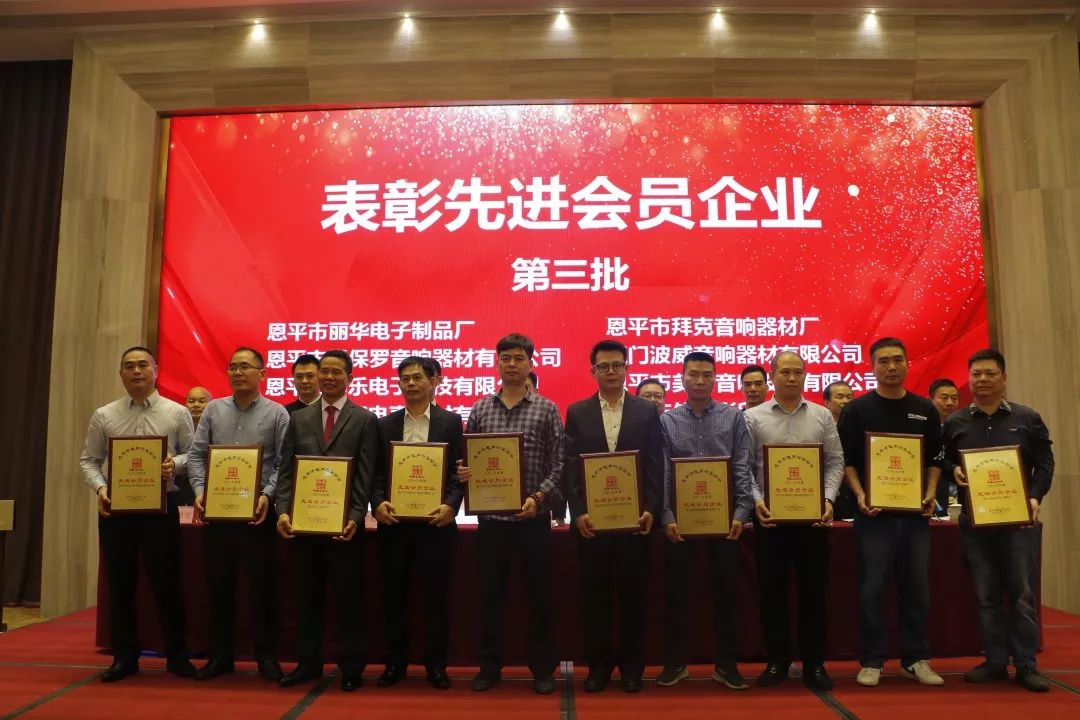 恩平电声行业协会成员,恩平协会