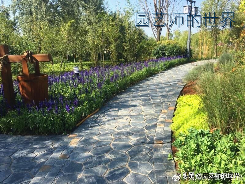 花园科学实验,花园案例及解析