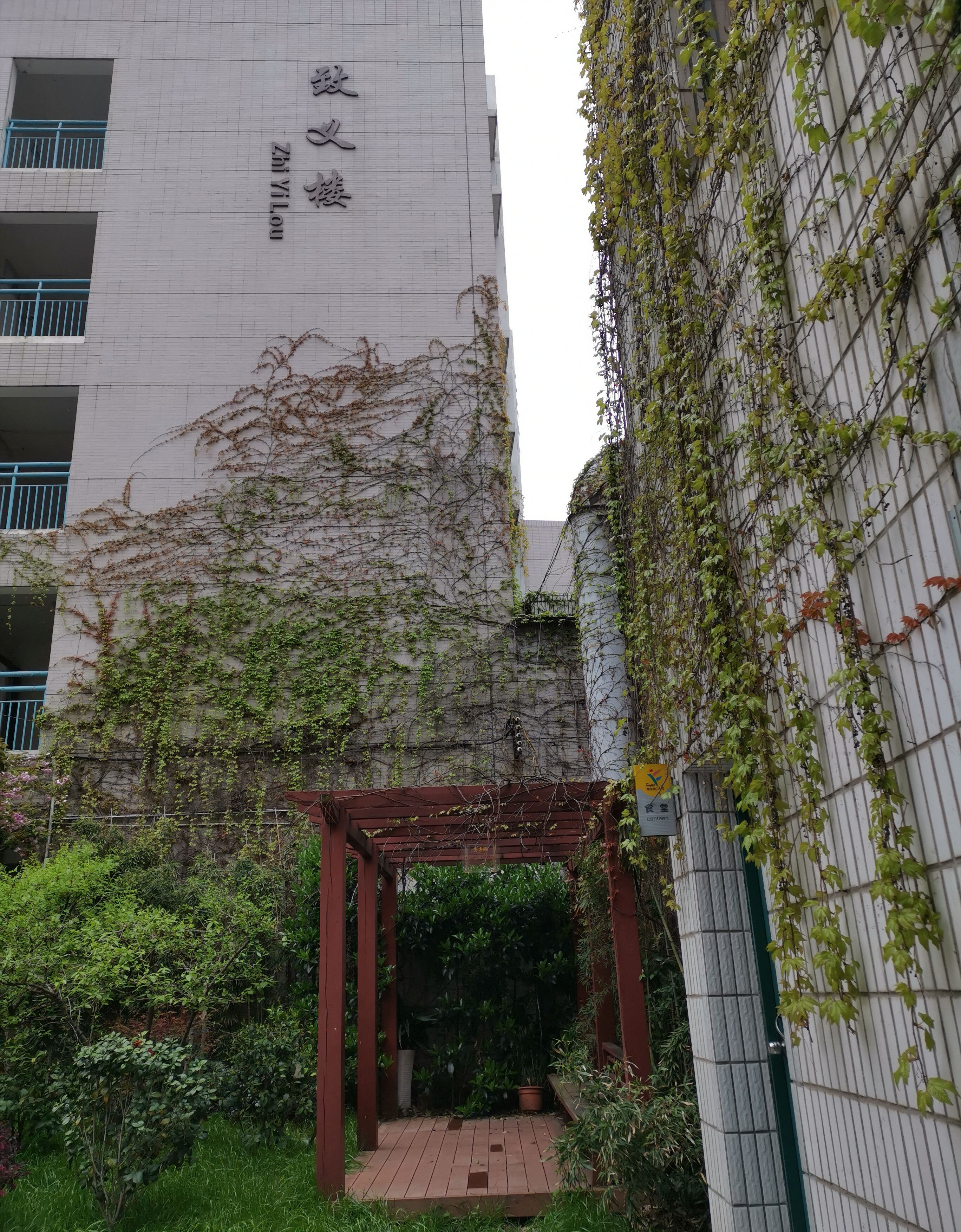 同心立仁：让每个孩子更健康更快乐更优秀