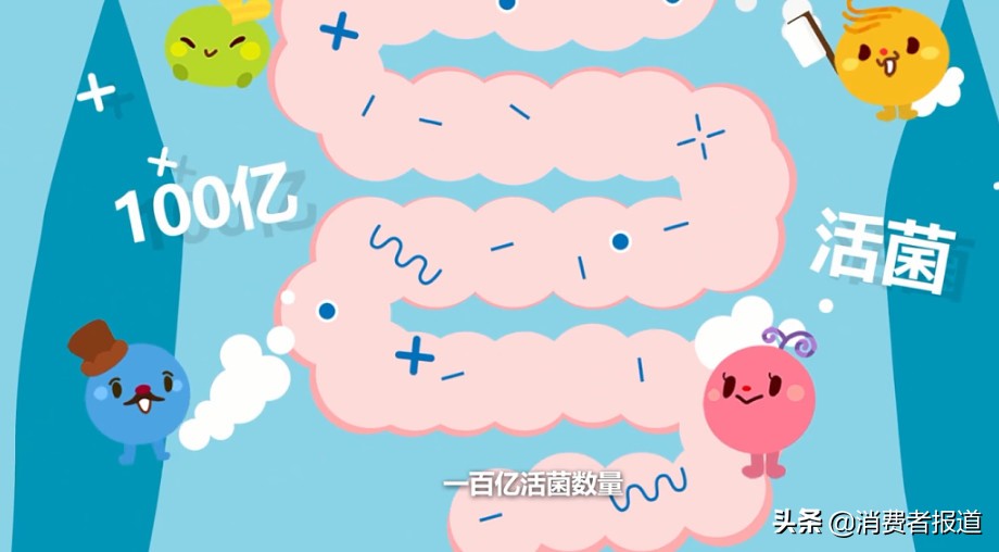 益生菌测评真实效果,十一款益生菌