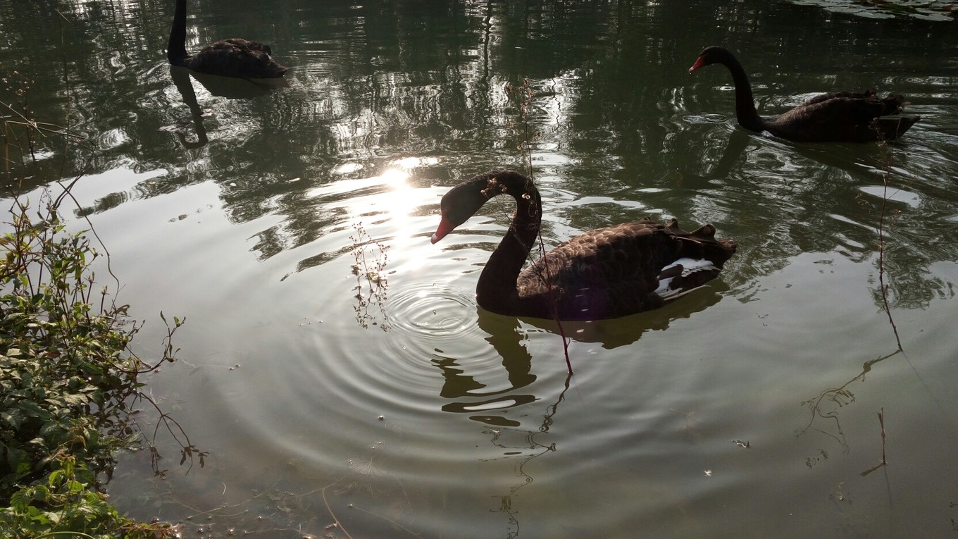 山东滕州旅游排名,山东滕州旅游视频