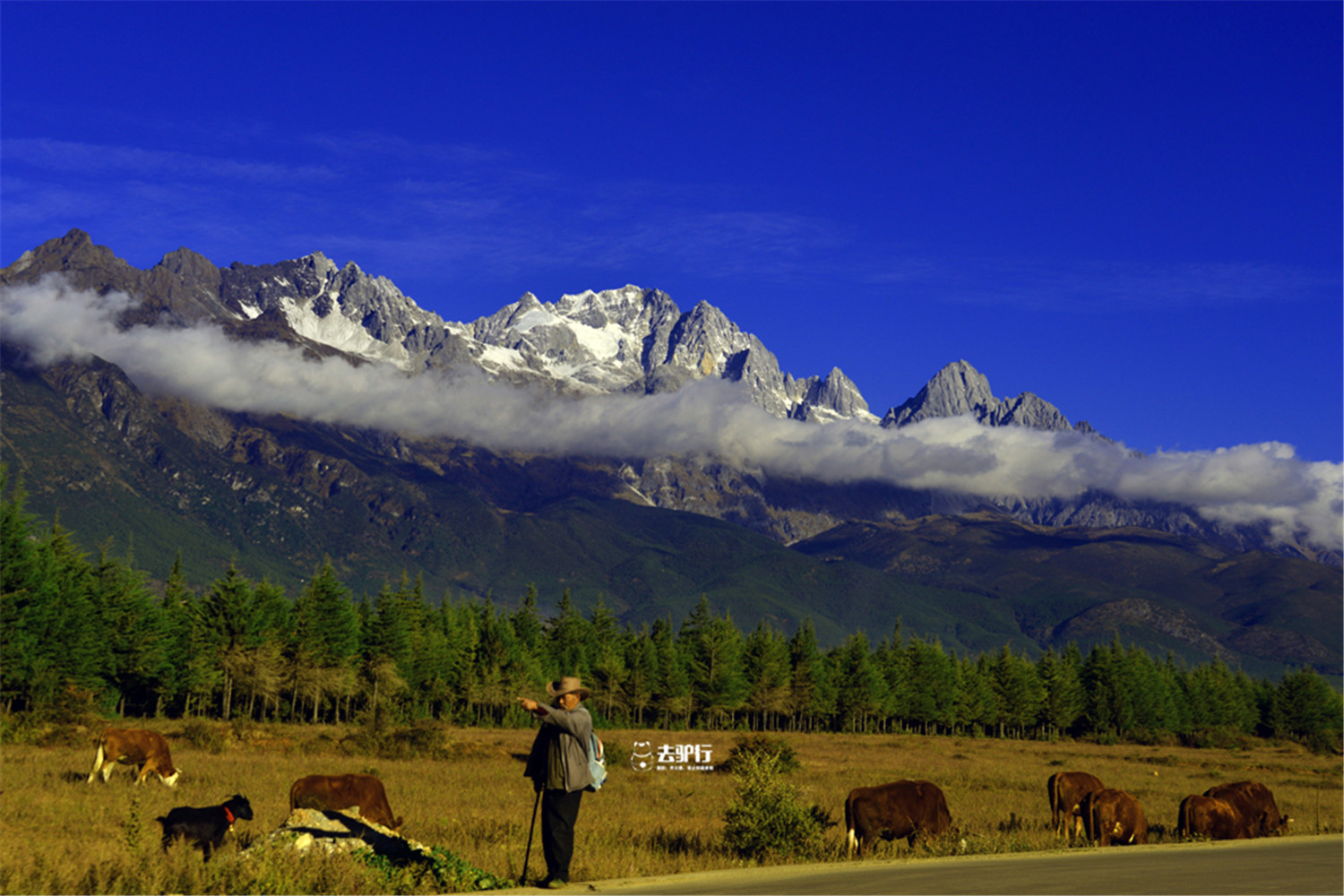 丽江小九寨沟风景区,夏日避暑旅游推荐九寨沟
