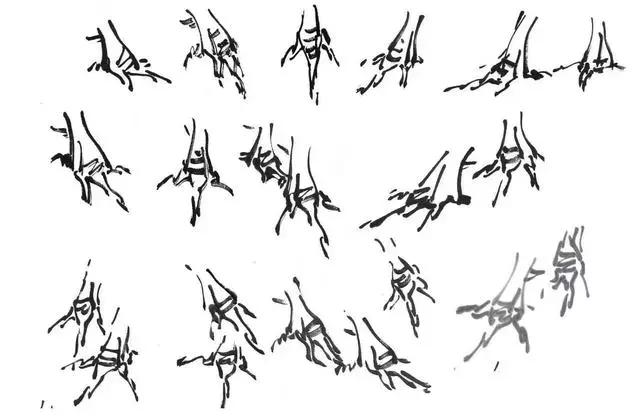 中国画中公鸡的写意画法,中国画鸡的学习方法