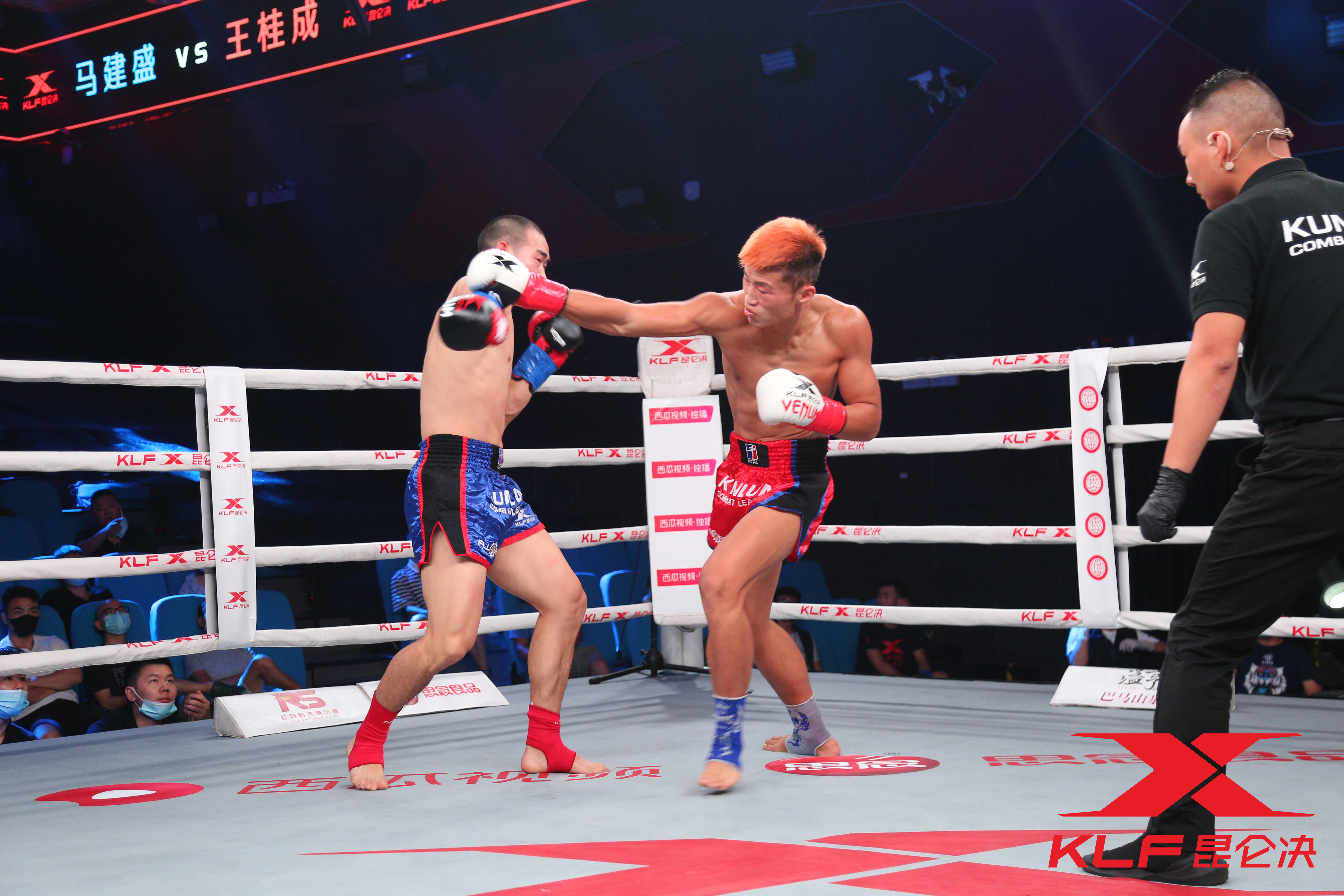 罗超ko视频集锦,罗超ko集锦