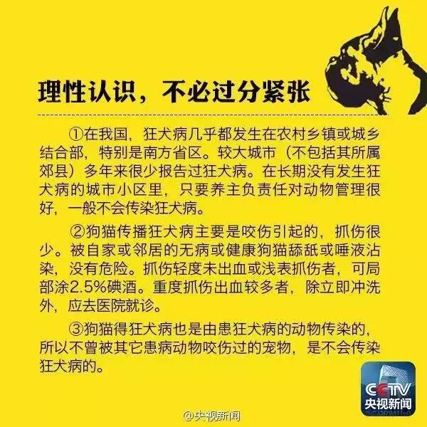 猫抓伤破皮没出血用打狂犬病针吗,潜伏期的猫抓伤人会导致狂犬病吗