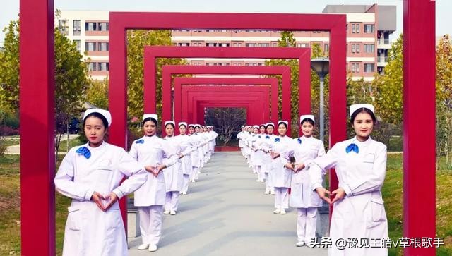 河南几所中医卫校,河南医专升格