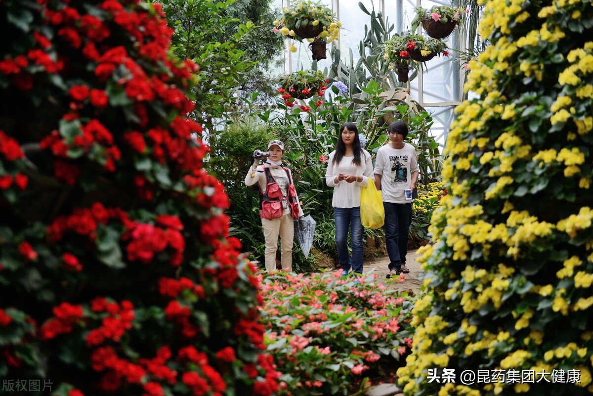 生活在云南昆明是什么感受,生活在昆明有多幸福