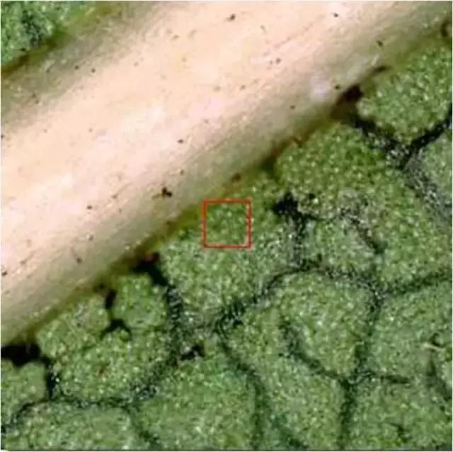 色即是空：这些图片看完后你还有什么想不通？