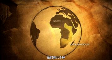 吃野生穿山甲的后果,吃了穿山甲会有什么法律后果