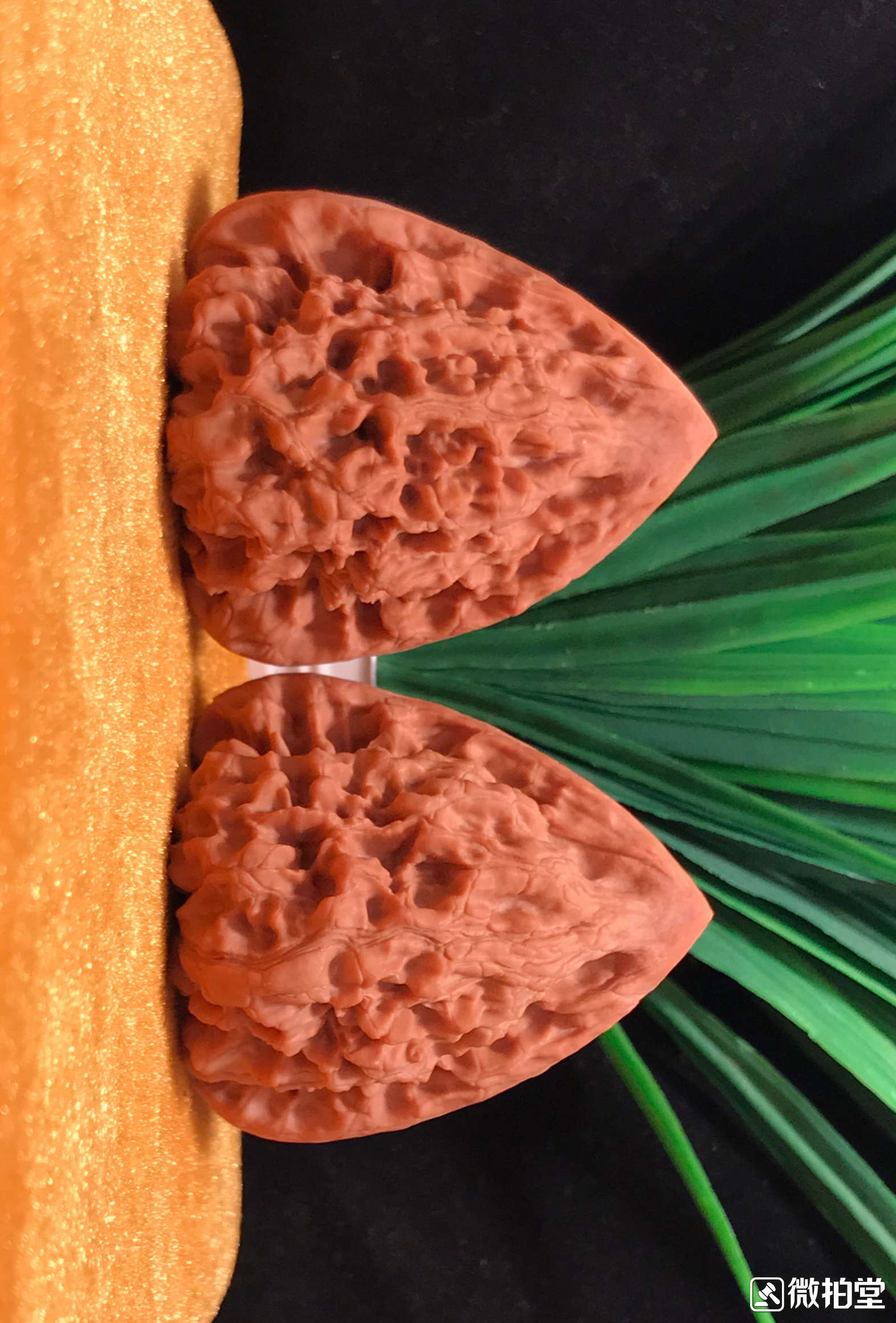 文玩核桃产地哪里的最好,河北涞水核桃文玩产地