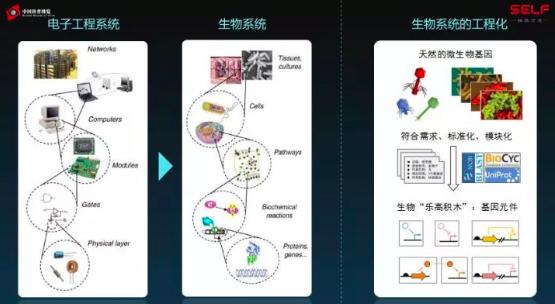 塑料大概多少年才能在自然界降解,塑料究竟可以降解吗