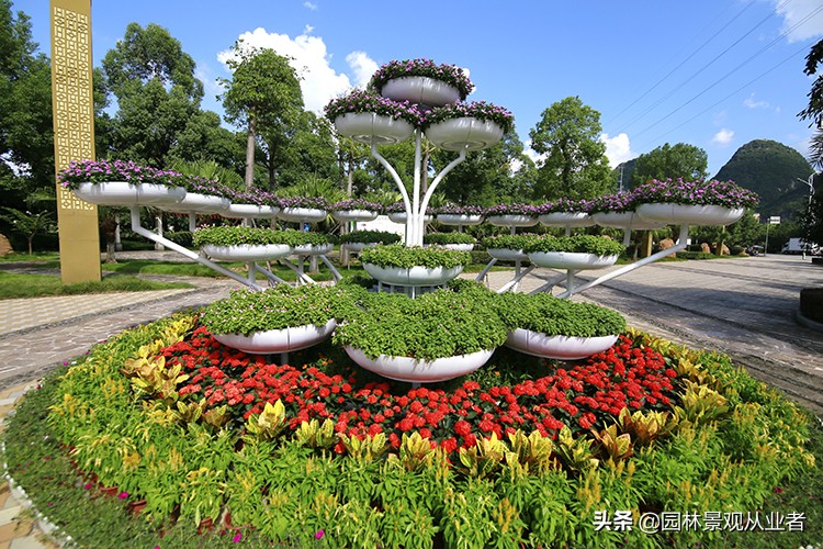 校园绿化思路,校园绿化设计方法