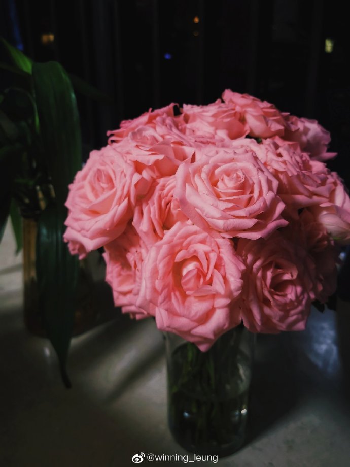 珠海香洲鲜花店,珠海鲜花超市