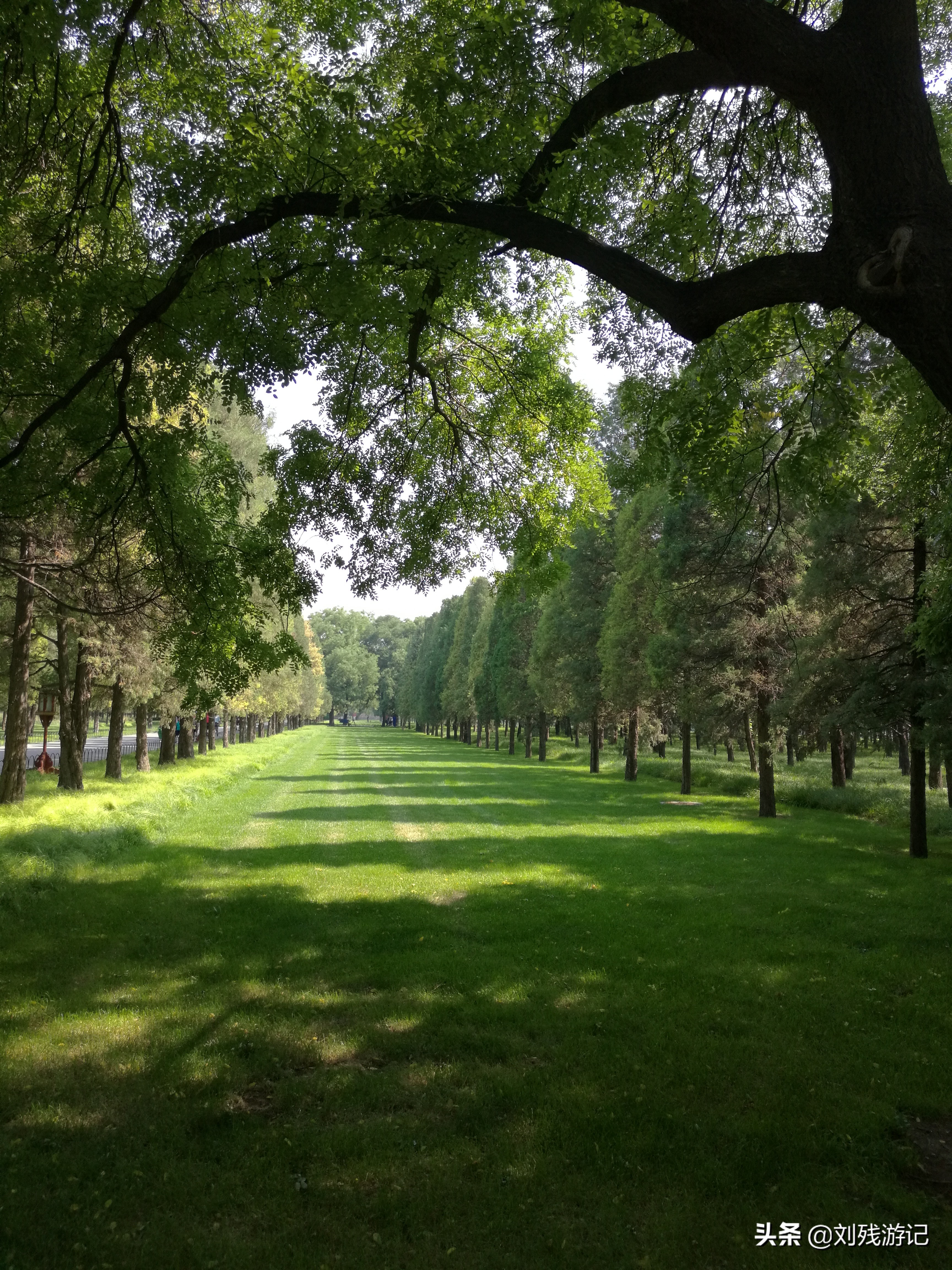 天坛是世界上最大的祭祀建筑群,北京天坛的圆坛为古代祭天的场所