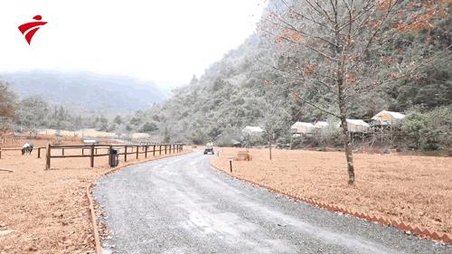 肇庆彩虹滑道在哪里,肇庆五天旅游攻略路线推荐