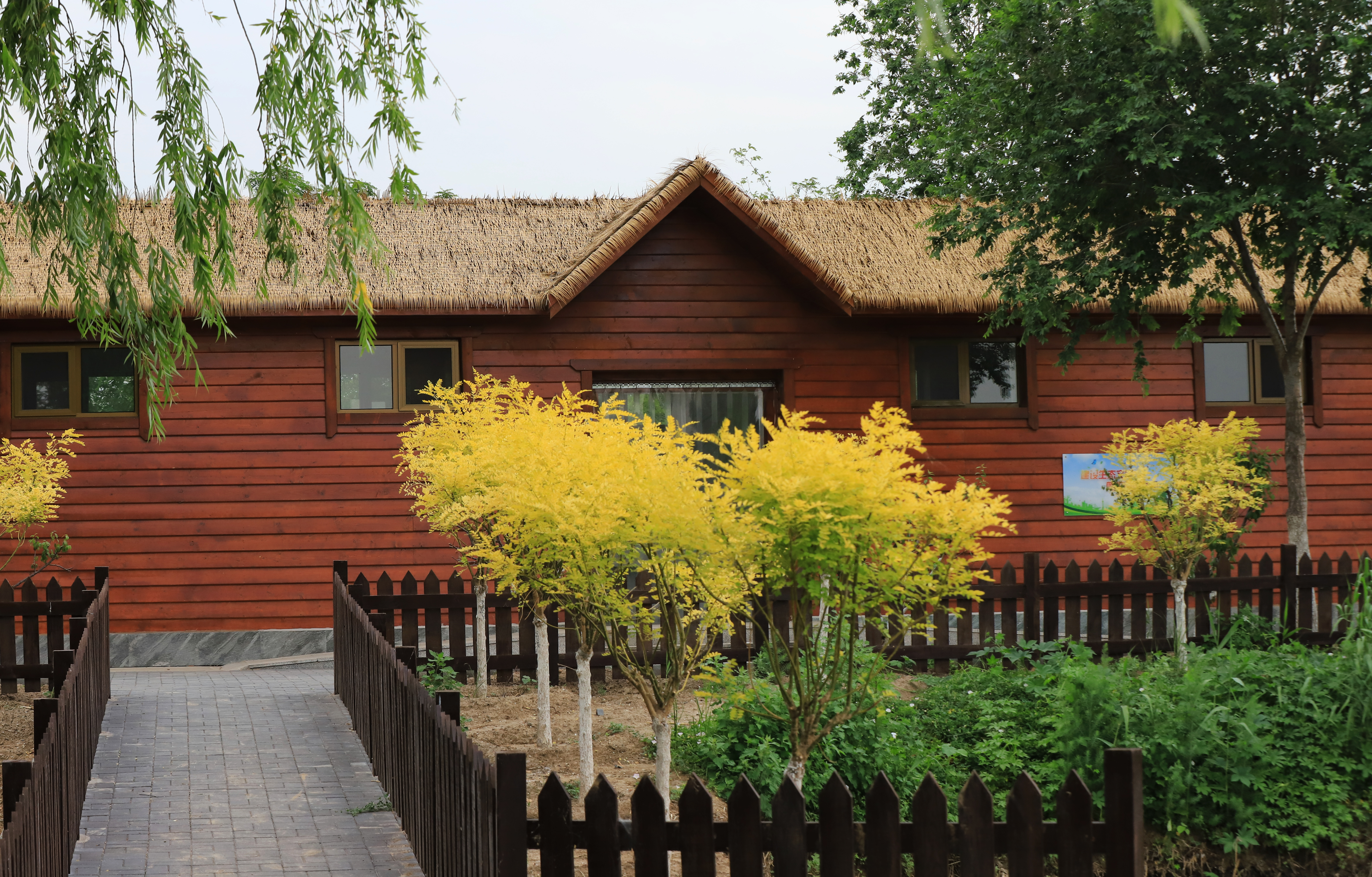 秋高气爽公园散步随拍,深秋天津的郊野公园