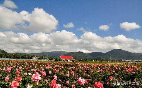 攻略三亚景区,攻略三亚亲子游