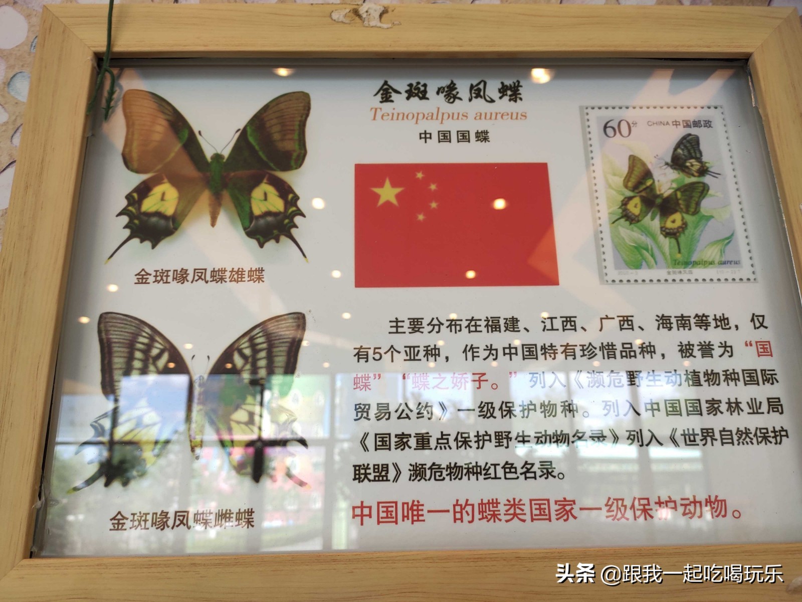 沈阳热高乐园丛林欢乐世界,沈阳丛林欢乐世界