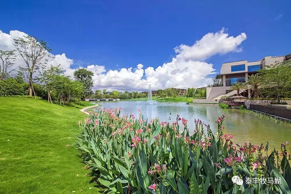 湾区之心,湾区之心深圳