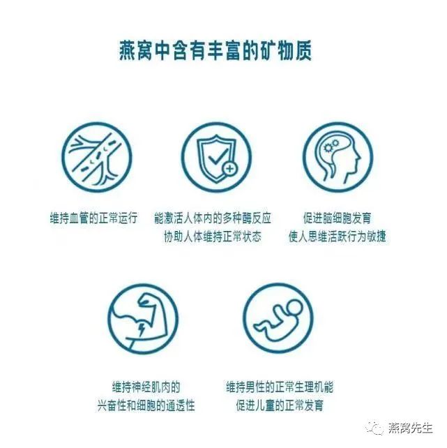 燕窝没有黑毛是好燕窝还是差燕窝,燕窝怎么选你真的了解燕窝吗