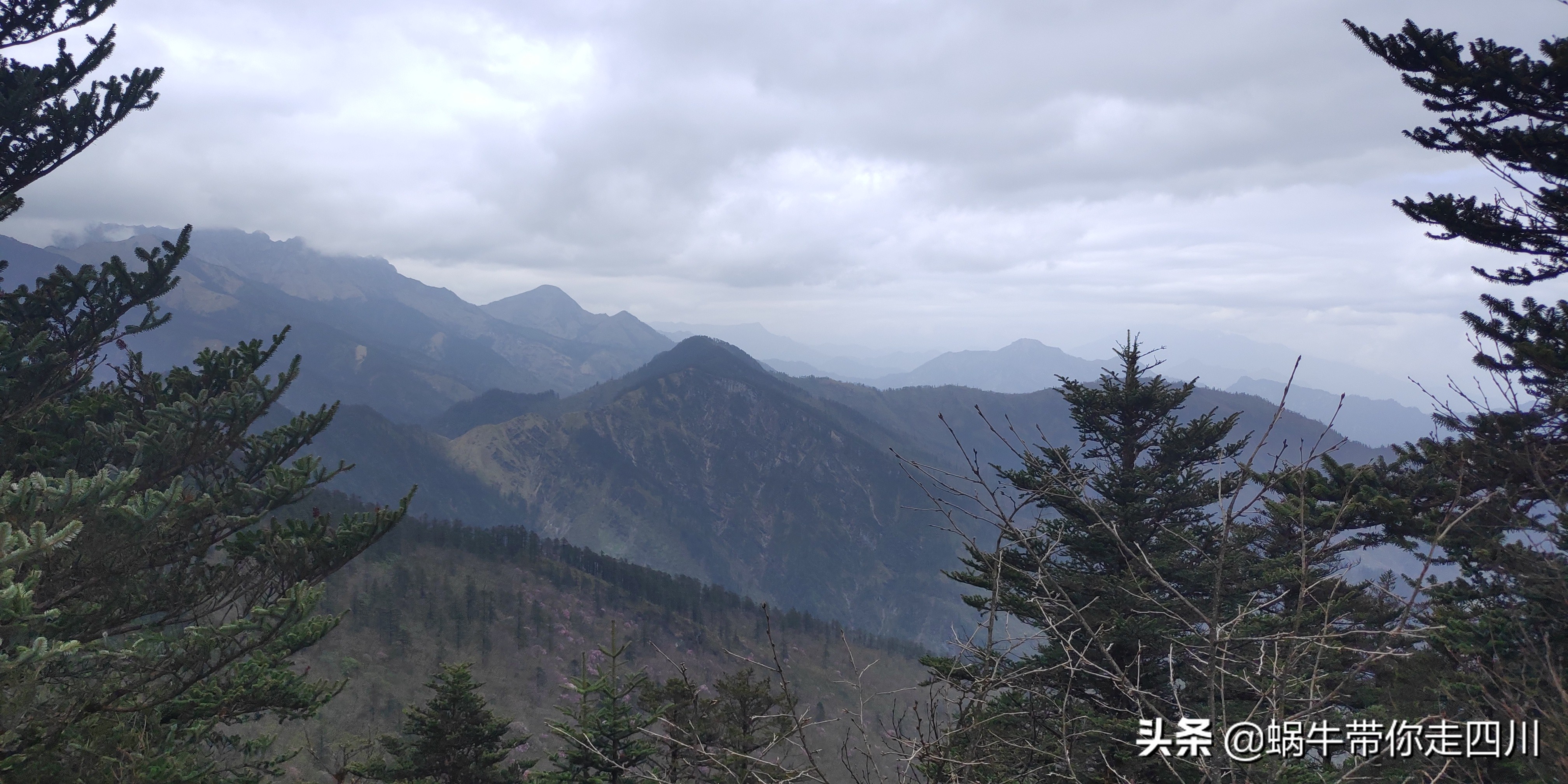 成都去西岭雪山两天一夜旅游团,成都出发雪山旅游