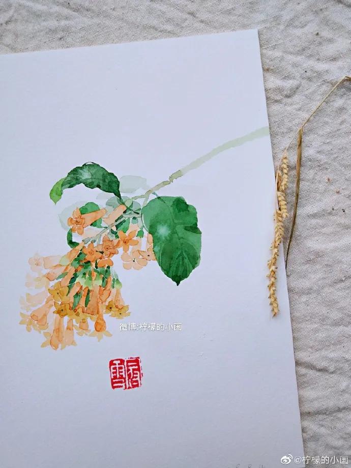 分享一组好看的小清新水彩插画,不来看看简单水彩小插画的教程吗