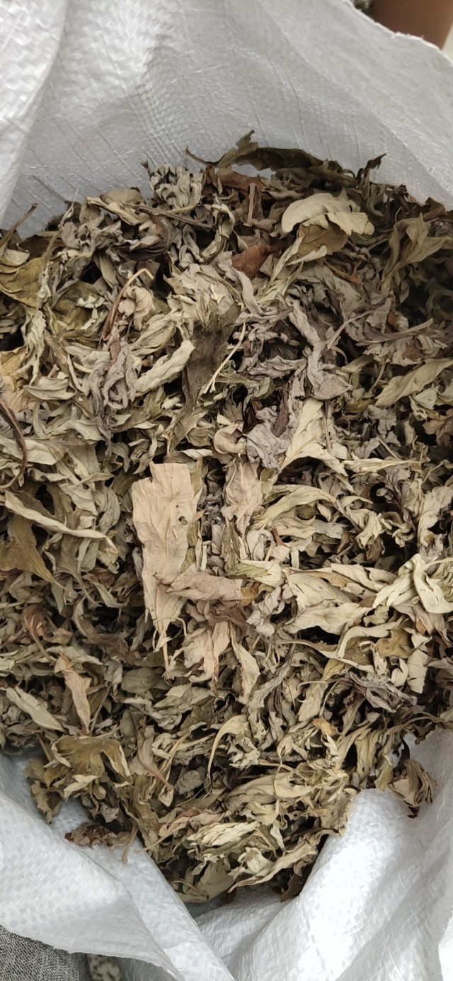 艾条怎么做出来的,艾条自己怎么做