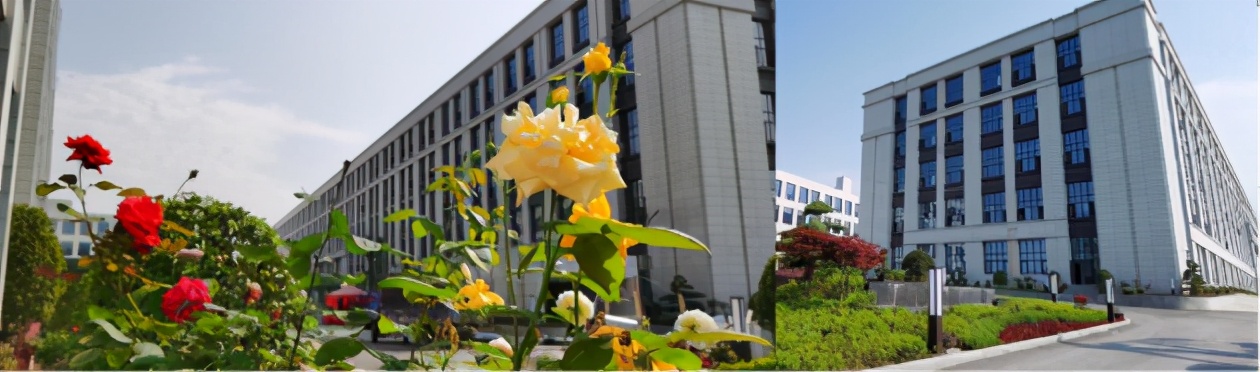 重庆朗萨家居,广安市朗萨家居