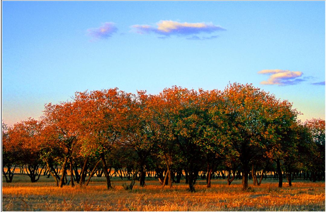 “五一”相约美丽鹤乡通榆旅游攻略