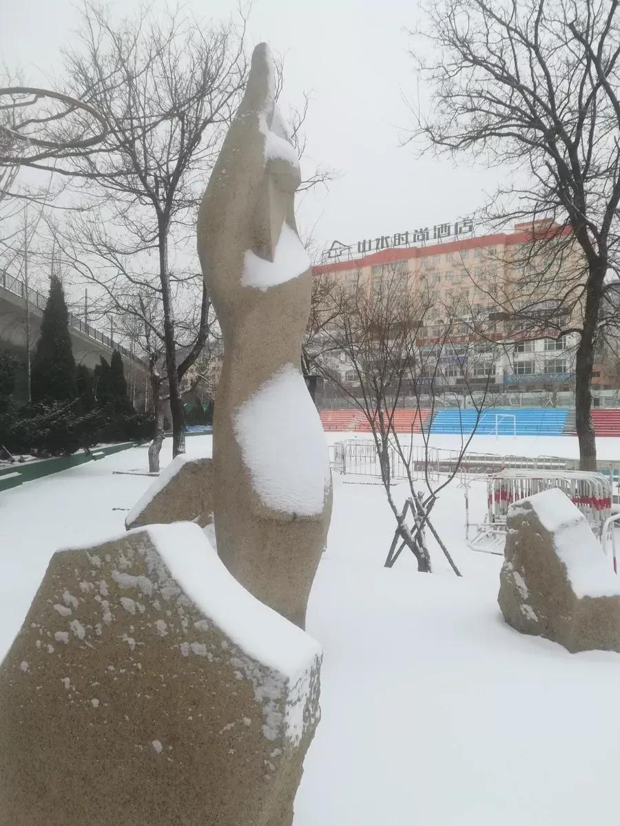 辽宁附属高级中学,辽宁师范大学附属中学2017