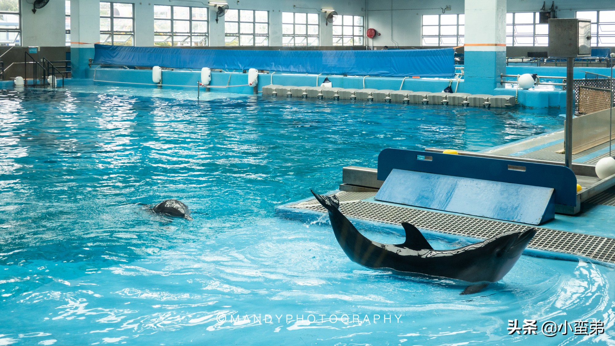 香港巡礼|是谁！敢拿水枪给20岁的海贼王庆生？