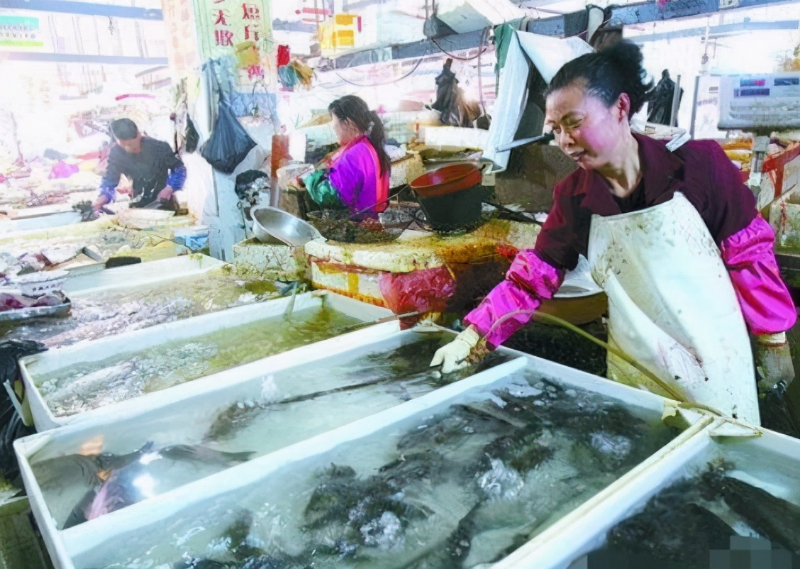 鱼的土腥味和柴油味,鱼的土腥味很重怎么回事