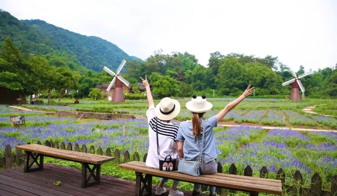 肇庆彩虹滑道在哪里,肇庆五天旅游攻略路线推荐