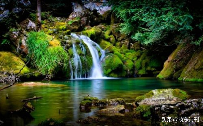 「黎明拾穗」43期诗词41首,首页篇篇造网红,风流戏子逞英雄