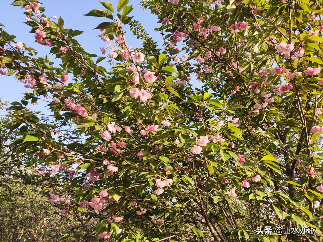 石家庄有个天然氧吧,石家庄天然氧吧旅游景点