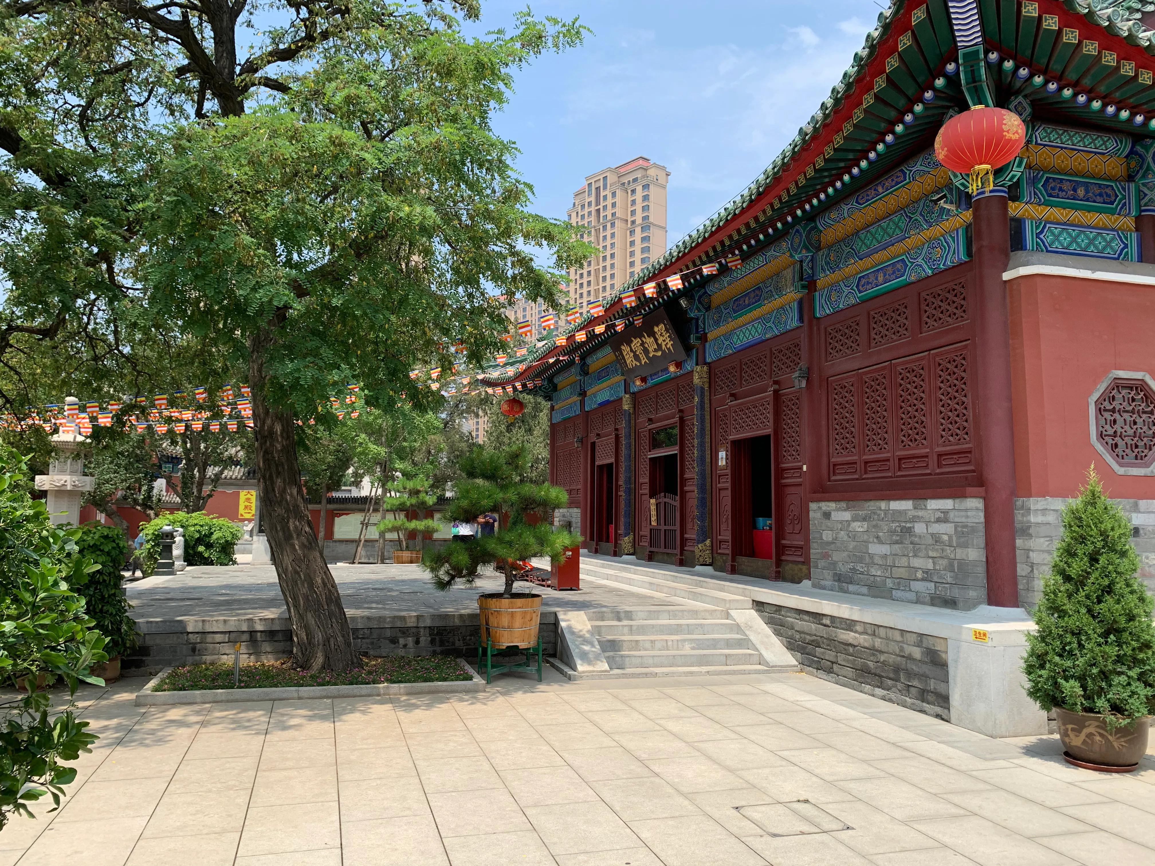 天津古刹大悲禅寺在哪个街,天津大悲禅院门口算命